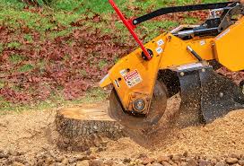 Best Lawn Renovation and Restoration  in Jal, NM